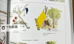 森林 技能和建筑物种类详细介绍