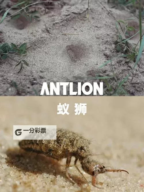 《饥荒》蚁狮作用介绍及打法攻略 蚁狮怎么打图1