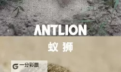 《饥荒》蚁狮作用介绍及打法攻略 蚁狮怎么打