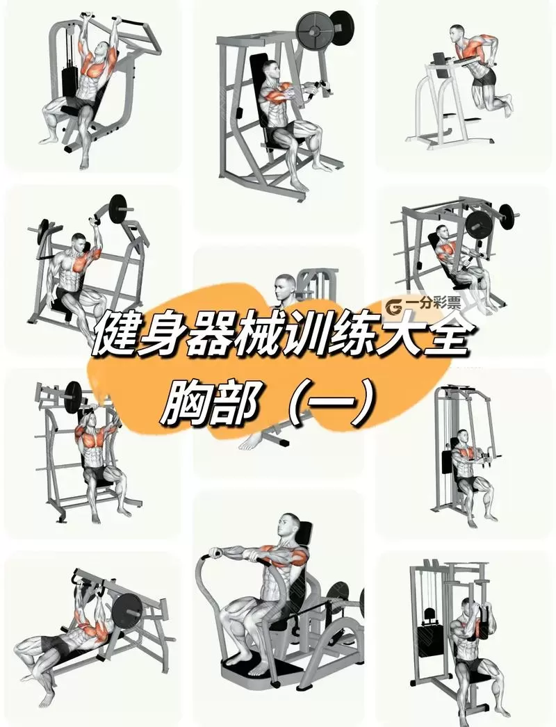 《高校三国》健身器械使用指南图1