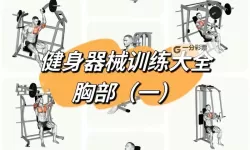 《高校三国》健身器械使用指南