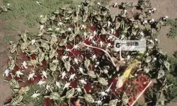 必玩割草游戏大全 必玩割草游戏有哪些