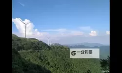 风车之家电脑版下载 横向测评：电脑玩风车之家模拟器推荐