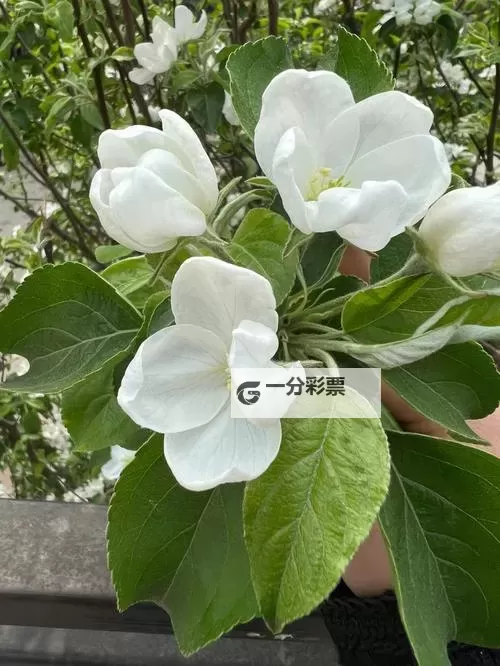 《暗黑破坏神4》新手开荒教程 暗黑破坏神4怎么玩图1