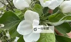 《暗黑破坏神4》新手开荒教程 暗黑破坏神4怎么玩