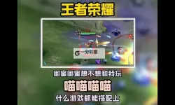 王者喵喵双开软件推荐 全程免费福利来袭
